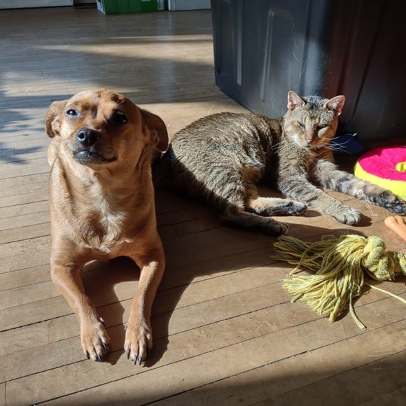 Meet your posher, Jade. - Picture 7 of 9